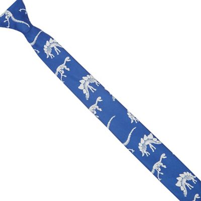 Boys' blue dinosaur embroidered tie